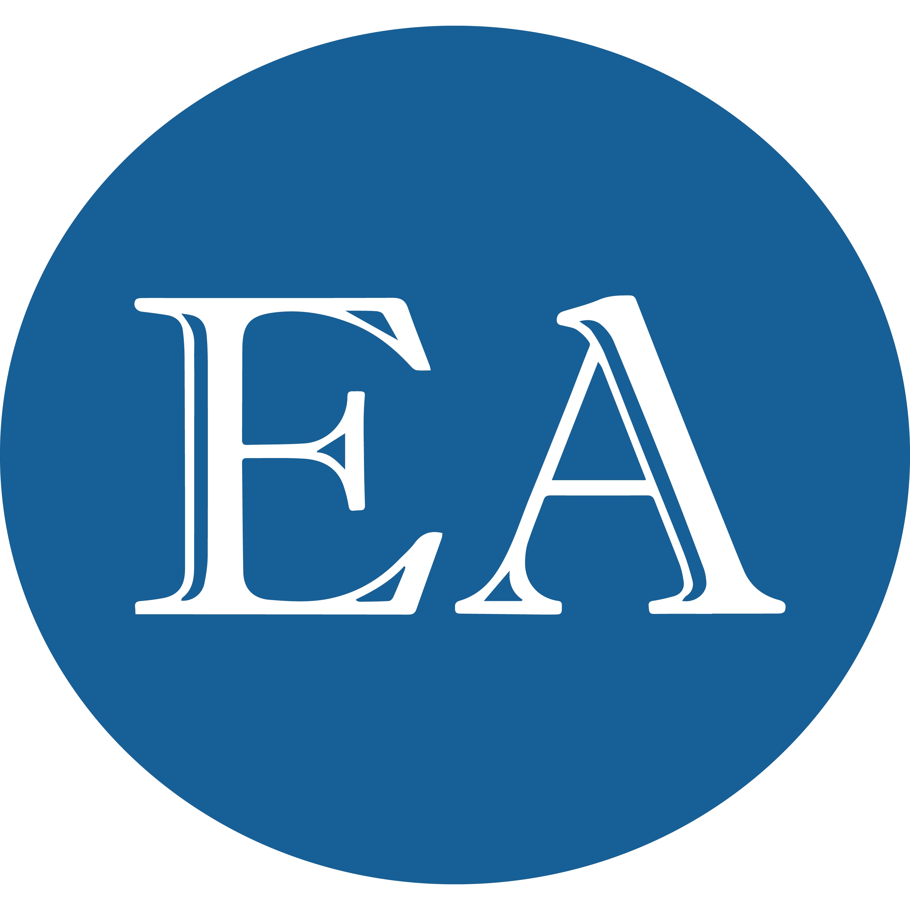 Erika Anderson Lawyers Logo