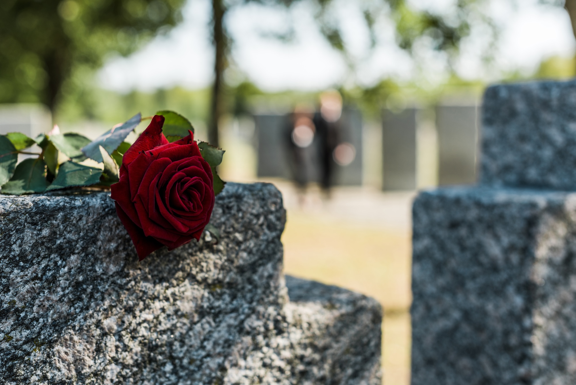 Featured image for “What Families Should Know About Wrongful Death Claims in New Mexico”